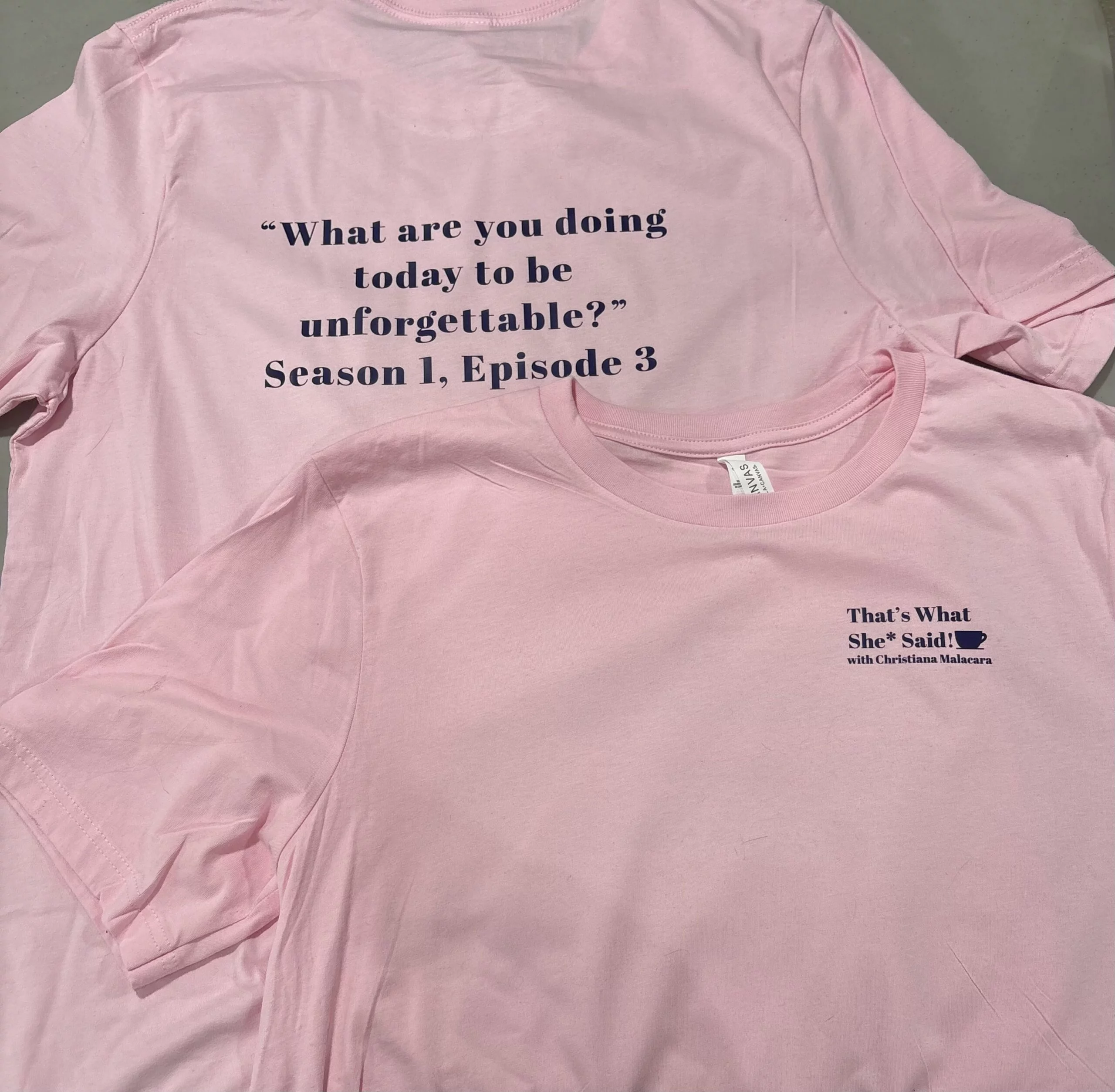 That's What She Said Pink T-Shirt Season 1, Episode 3 brought to you by The Bear Traxs thebeartraxs.com